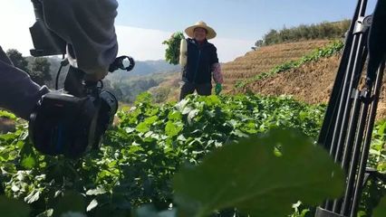 晉安區(qū)鵝鼻村 家門口的科普陣地培育現(xiàn)代新農(nóng)人